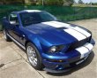 2008 Ford GT500 Shelby  20120306-2065